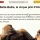 La Ville d’Angers confond animaux sauvages et animaux domestiques !